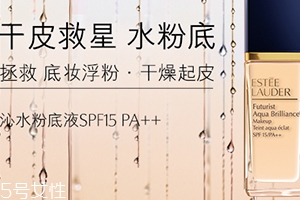 雅詩蘭黛粉底液和氣墊哪個好？