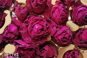 墨紅玫瑰可以天天喝嗎？玫瑰養(yǎng)顏也要適量