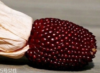 草莓玉米多少錢一斤？酷似草莓的玉米