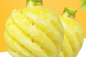 泰國迷你小菠蘿多少錢一斤？mini小菠蘿火遍泰國