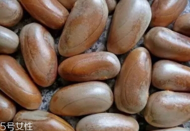 榴蓮蜜怎么吃？不同的吃法風(fēng)格