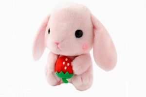 AMUSE玩偶是哪個(gè)國(guó)家的牌子？東京御宅族文化商品