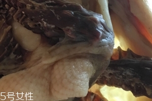 板鴨怎么做好吃？這樣做香氣撲鼻