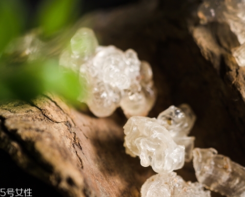 雪燕和銀耳哪個(gè)好？其實(shí)可以一起食用