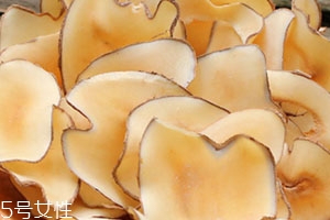 海底椰怎么吃？海底椰的做法