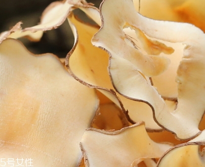 海底椰怎么吃？海底椰的做法