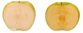 lacabine安瓶什么功效？深度測(cè)評(píng)抗氧化效果