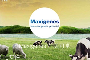 藍胖子奶粉適合什么人？成人可以喝嗎？