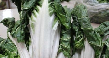 牛皮菜是發(fā)物嗎？牛皮菜有毒嗎