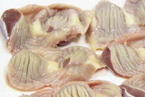 雞胗皮的功效作用 禁忌事項 雞胗皮的功效作用 禁忌事項