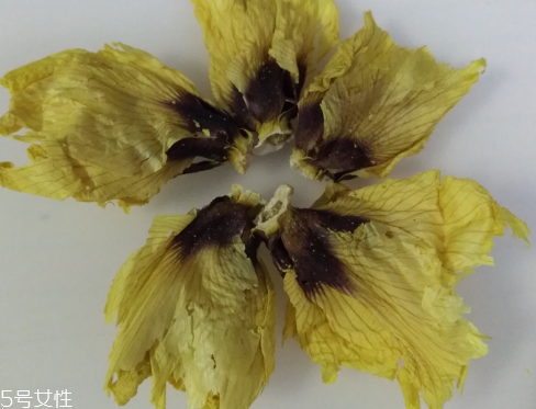 秋葵花怎樣曬干？自然風(fēng)干最佳