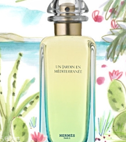 dior迪奧香水和愛馬仕香水哪個好？