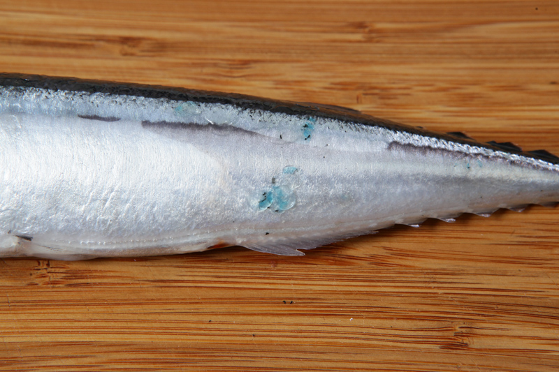 秋刀魚怎么處理？秋刀魚怎么挑選