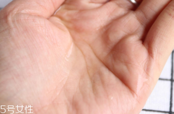 悅木之源和伊麗莎白雅頓哪個好？兩款精華大比拼