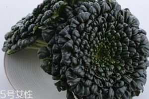 塔菜多少錢一斤？塔菜又稱菊花菜