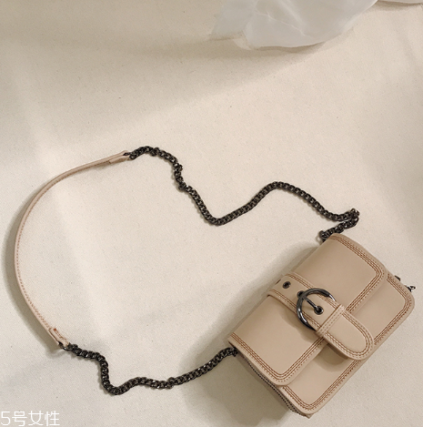 迷你包包什么款式好看？時(shí)髦精都在拎它