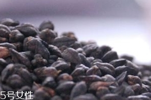 黑苦蕎茶上火嗎？蒸煮法苦蕎茶不上火