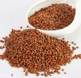 黑苦蕎茶上火嗎？蒸煮法苦蕎茶不上火