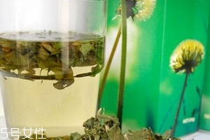 蒲公英茶哪些人不宜喝？這三種人要避開