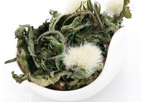 蒲公英茶怎么做？蒲公英茶做法超簡(jiǎn)單