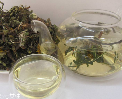 蒲公英茶怎么做？蒲公英茶做法超簡單