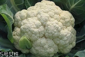花椰菜可以生吃嗎？熱水殺毒可食用