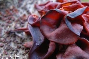 血耳多少錢(qián)一斤？來(lái)自大山的饋贈(zèng)