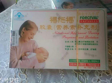 福施福什么時候吃最好？這樣吃才正確
