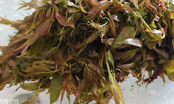 香椿水餃怎么做好吃？超詳細(xì)香椿豆腐餃子做法