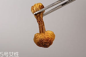 姬松茸多少錢一斤？