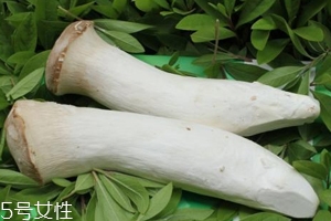 杏鮑菇熟了是什么樣？變軟了就能吃