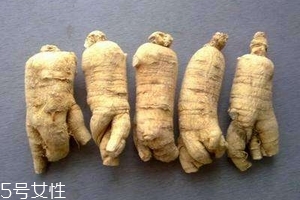西洋參會回奶嗎？不用擔心這個問題
