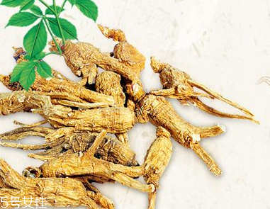 西洋參會(huì)過敏嗎？不排除這種可能