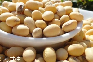黃豆泡醋黃豆要煮熟嗎？生熟都可以泡