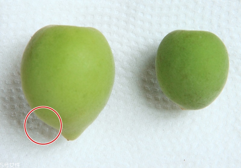 青梅怎么挑選與保存 青梅怎么挑選與保存