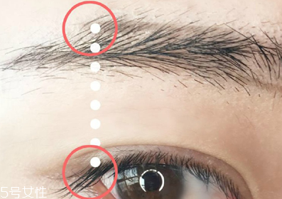 適合學(xué)生黨的自然眉筆推薦 新手修眉畫(huà)眉教程
