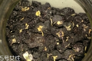 黑枸杞還還是紅枸杞好？各有千秋