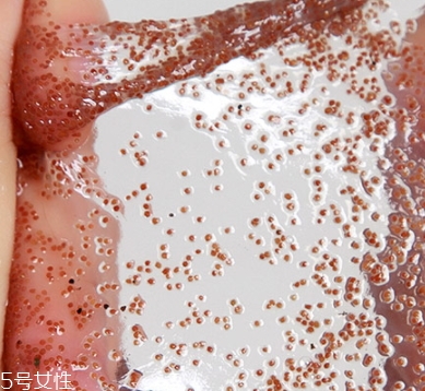 半畝花田海藻面膜怎么樣？