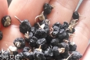 黑枸杞為什么是藍色？花青素的原因