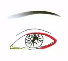 先畫眼影還是先畫眼線？先畫眼影不會讓眼線暈掉