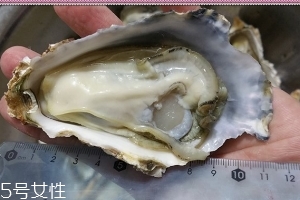 生蠔會有寄生蟲嗎？不生吃就沒關(guān)系