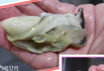 生蠔會有寄生蟲嗎？不生吃就沒關(guān)系