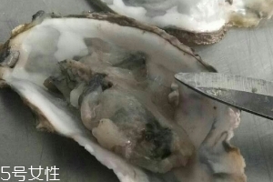 生蠔會上火嗎？烤生蠔易上火