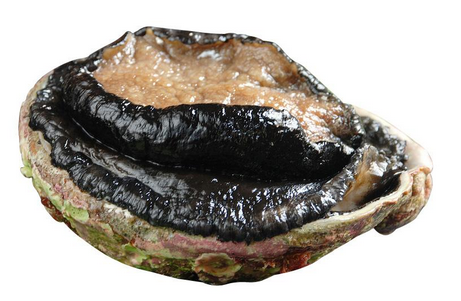 鮑魚罐頭怎么吃？這樣吃最好