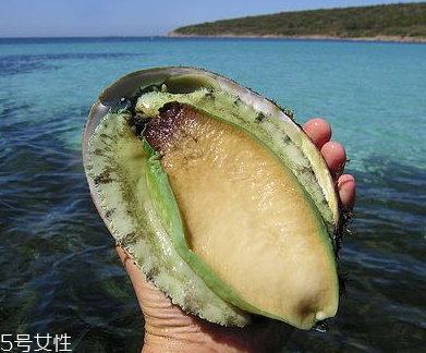 鮑魚罐頭好吃嗎？味道還可以
