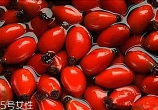 痘痘能用玫瑰果油嗎？愈合之后少量用