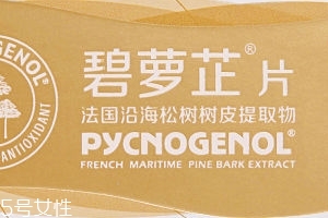 碧蘿芷到底好不好？帶你了解碧蘿芷
