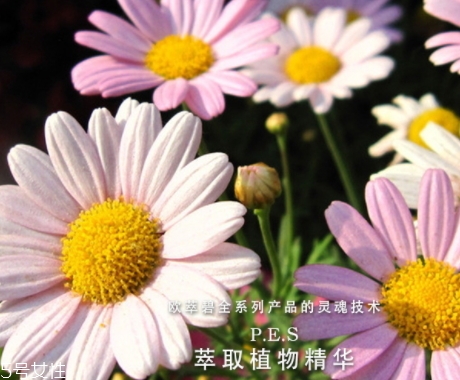 歐萃碧護(hù)膚品怎么樣？法國藥妝品牌