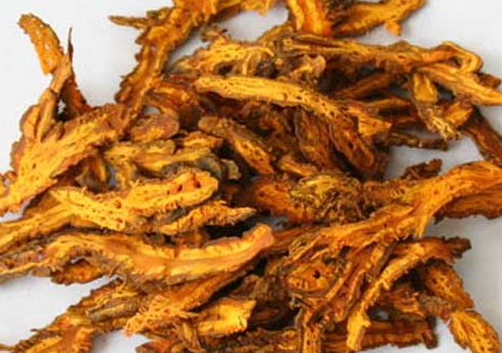 黃連是熱性還是涼性 味苦微寒 黃連是熱性還是涼性 味苦微寒