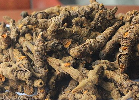 黃連是熱性還是涼性 味苦微寒 黃連是熱性還是涼性 味苦微寒